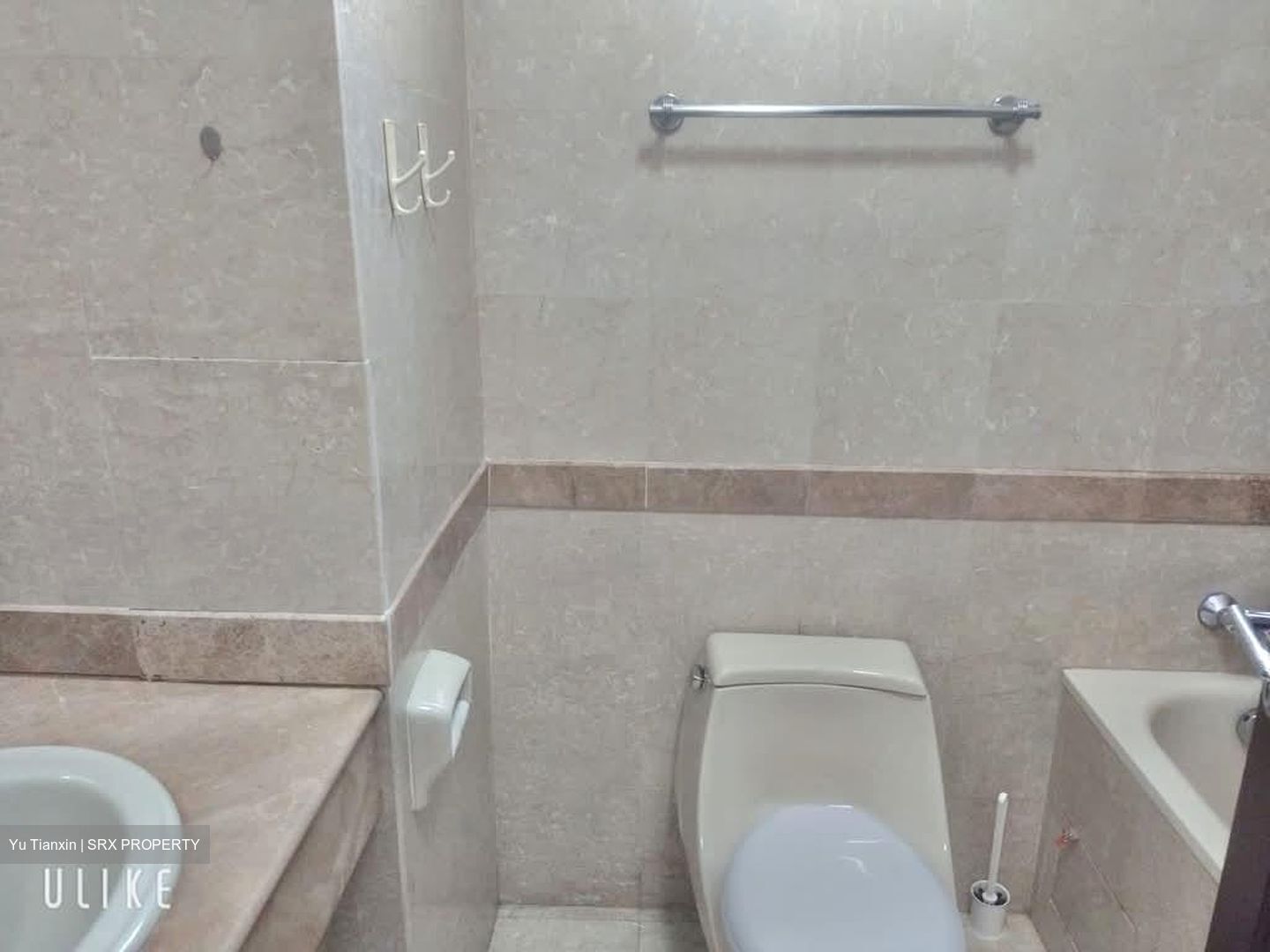 Tanglin Regency (D10), Condominium #605496451